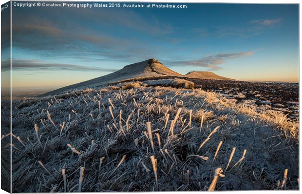  Frosted Grass in the Beacons Canvas Print by Creative Photography Wales