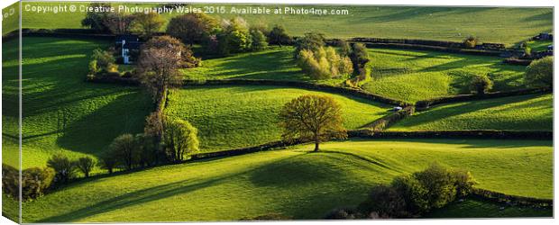 Skirrid Fields Canvas Print by Creative Photography Wales