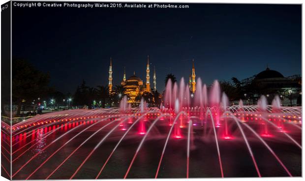 Aya Sofia in Istanbul, Turkey Canvas Print by Creative Photography Wales