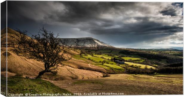 Hay Bluff Spring Landscape Canvas Print by Creative Photography Wales