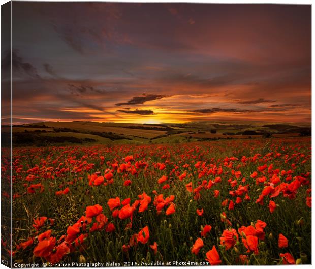 Poppy Sunrise Canvas Print by Creative Photography Wales