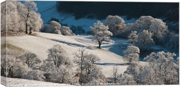 Beacons Frost Canvas Print by Creative Photography Wales