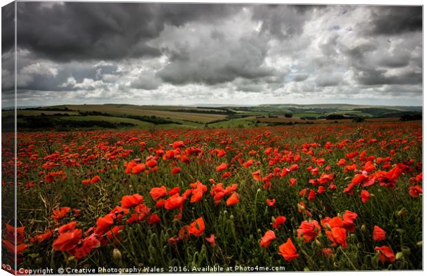 South Downs Poppies Canvas Print by Creative Photography Wales