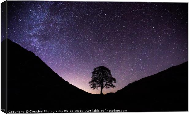 Sycamore Gap Night Sky on Hadrians Wall Canvas Print by Creative Photography Wales