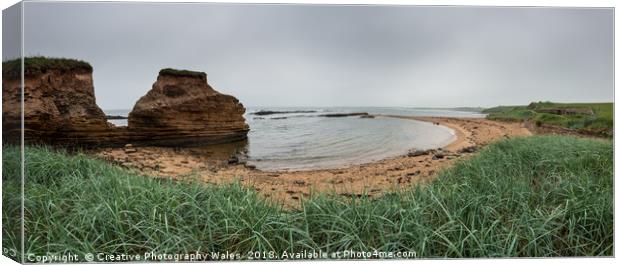Cullernose Point Panorama on the Northumberland Co Canvas Print by Creative Photography Wales