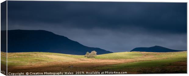 Landscape at Cwmystradllyn, Snowdonia National Par Canvas Print by Creative Photography Wales