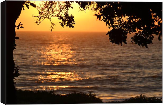 Sunset at Point Mugu, Pacific Ocean,CA Canvas Print by Hamid Moham