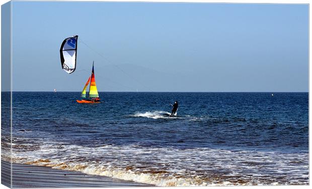 Surfer in Santa Barbara Canvas Print by Hamid Moham