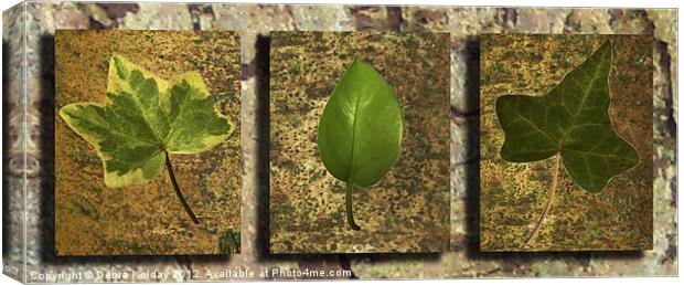 IVY ON BARK Canvas Print by Debra Kelday