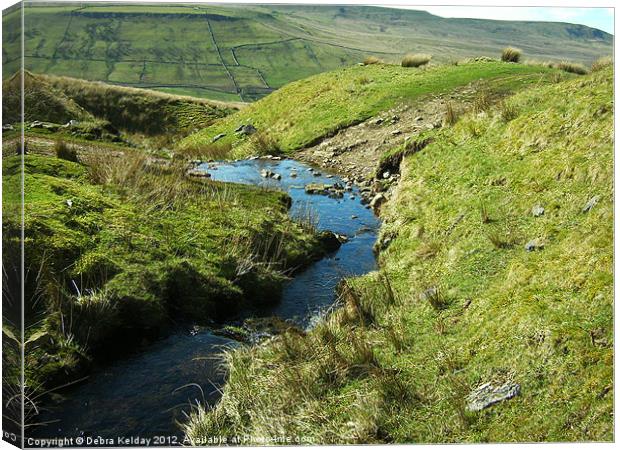 In Mallerstang, Yorkshire Dales Canvas Print by Debra Kelday