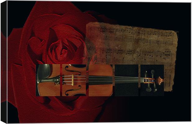 A Love For Music Canvas Print by Debra Kelday