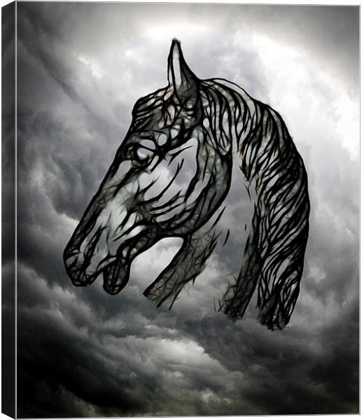 Dark Horse Canvas Print by Debra Kelday