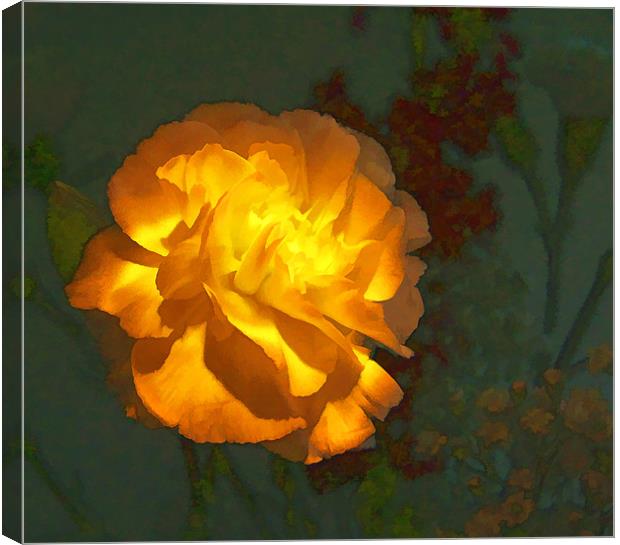 Carnation in Watercolour Canvas Print by Debra Kelday