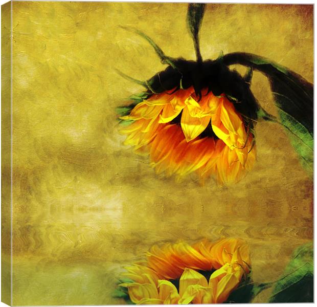 Sunflower- A Reflection of a Summer Day Canvas Print by Debra Kelday