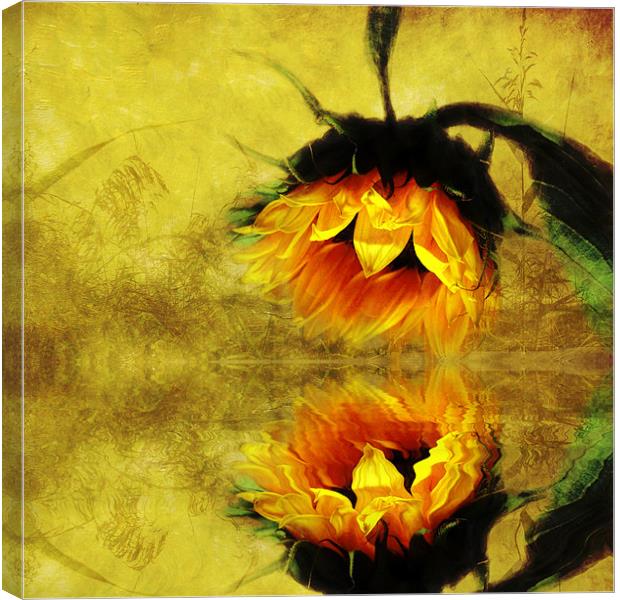 (Sunflower)- A Reflection of a Summer Day 2 Canvas Print by Debra Kelday