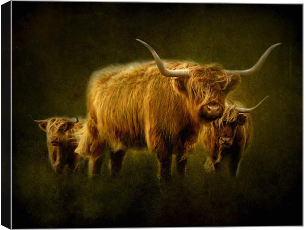 Highlanders Canvas Print by Debra Kelday