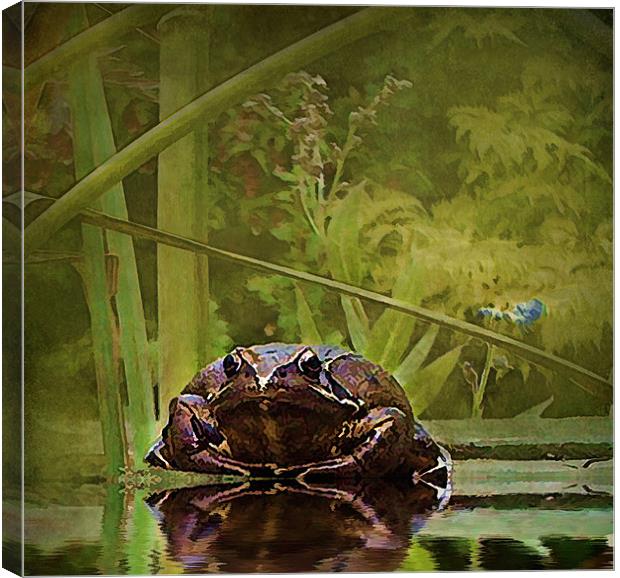 Toad 1 Canvas Print by Debra Kelday