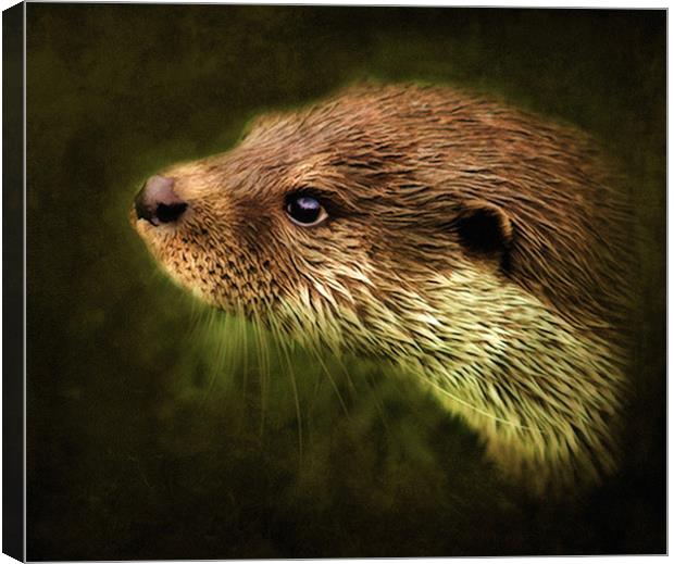 Otter, Lutra lutra. Canvas Print by Debra Kelday