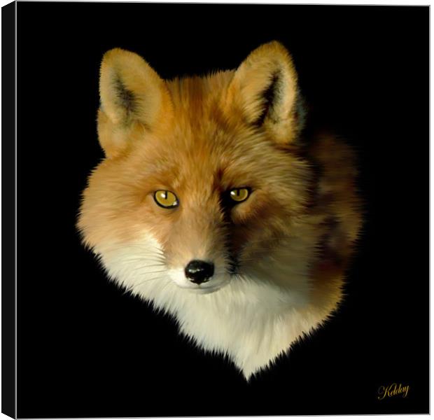 Red Fox Canvas Print by Debra Kelday