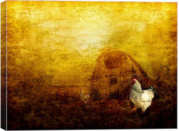 Memories of a Farmyard Canvas Print by Debra Kelday