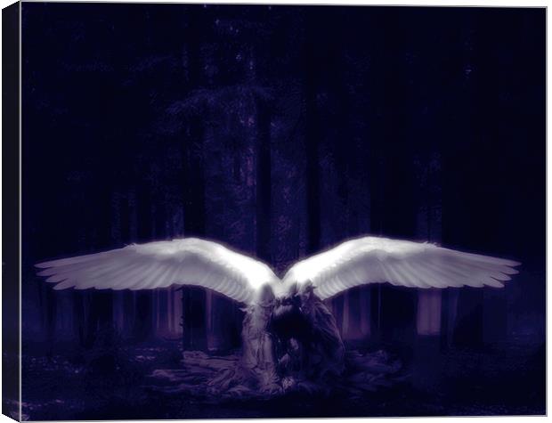 Lost Angel Canvas Print by Debra Kelday