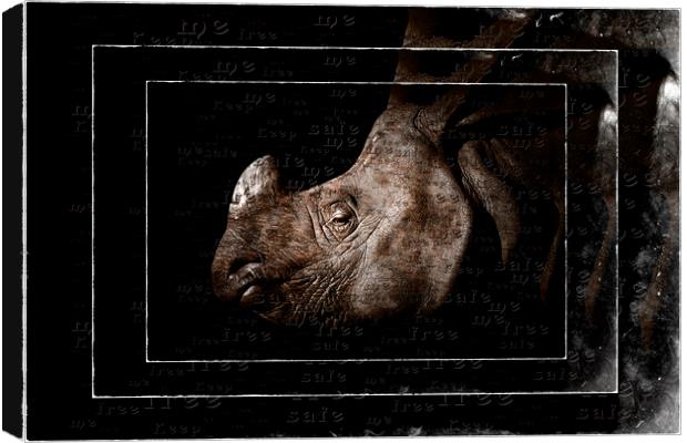 Rhino Protection Canvas Print by Debra Kelday