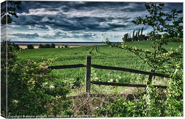 storm approching Canvas Print by wayne gibbons