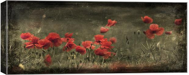 Poppy Field Canvas Print by Celtic Origins