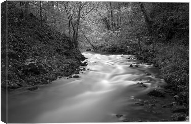 The River Wye, Millers Dale Derbyshire Canvas Print by Scott Simpson