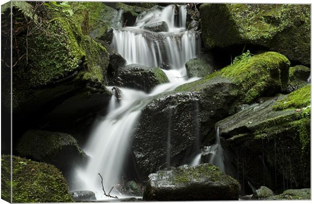 Lumsdale Waterfall Derbyshire Canvas Print by Scott Simpson