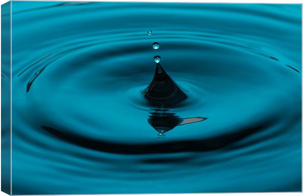 The Three Drops Canvas Print by Paul Shears Photogr