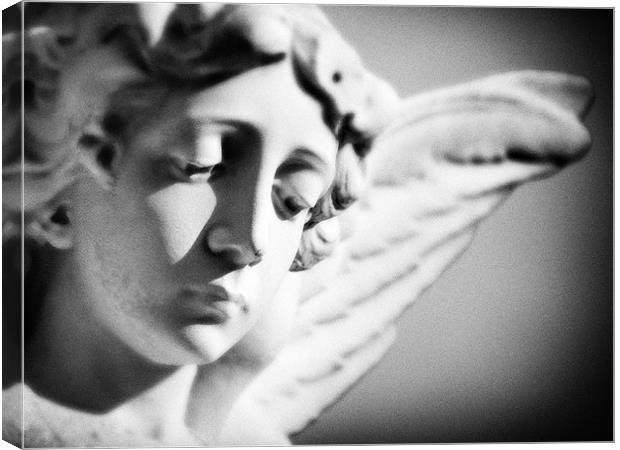 Don't blink! Canvas Print by Marcus Scott