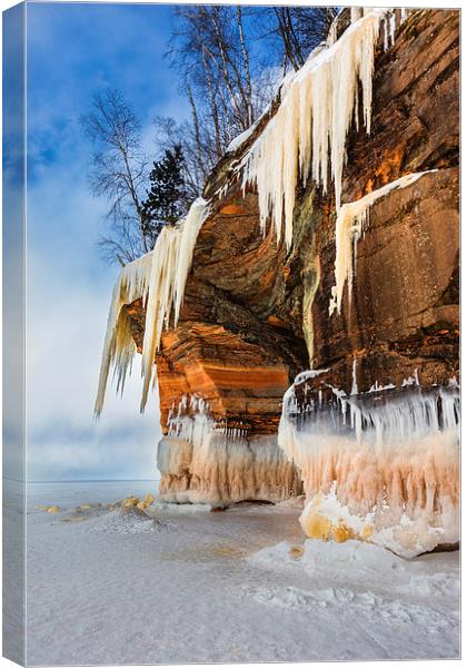 Frozen Canvas Print by Jonah Anderson Photography