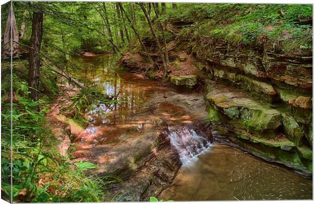 Skillet Creek Canvas Print by Jonah Anderson Photography