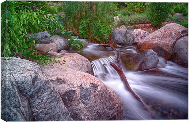  Small Stream Canvas Print by Jonah Anderson Photography