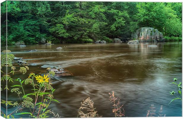  Serene Stream Canvas Print by Jonah Anderson Photography