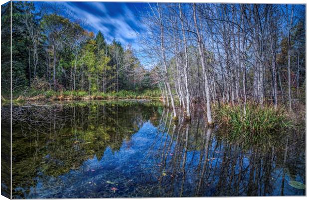 Simplicity and Symmetry Canvas Print by Jonah Anderson Photography