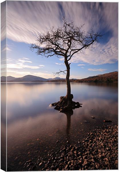 Lone tree in water Canvas Print by Grant Glendinning