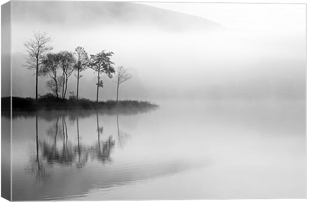 Loch Ard trees in the mist Canvas Print by Grant Glendinning