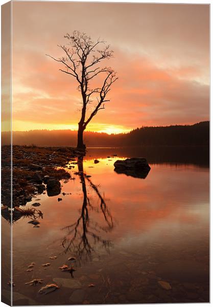 Loch Ard Sunrise Canvas Print by Grant Glendinning
