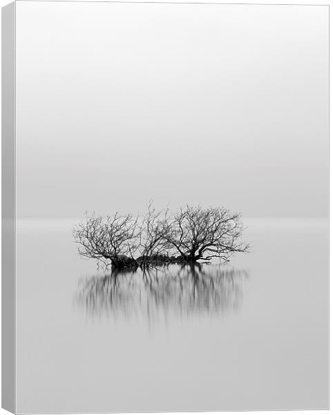 Loch Lomond Mist Canvas Print by Grant Glendinning