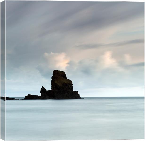 Talisker bay Canvas Print by Grant Glendinning