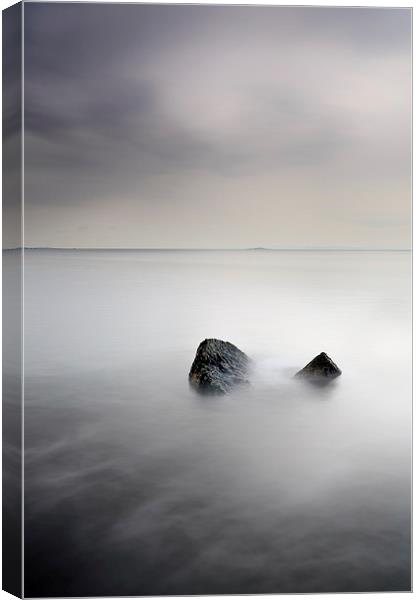 Remnant  Canvas Print by Grant Glendinning
