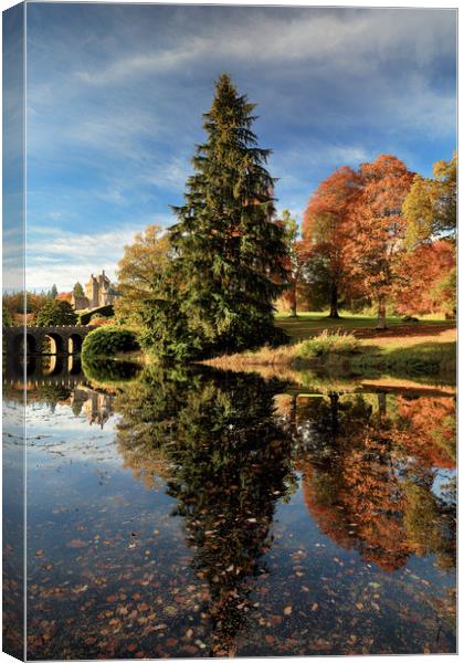 Autumn Tree Reflection Canvas Print by Grant Glendinning