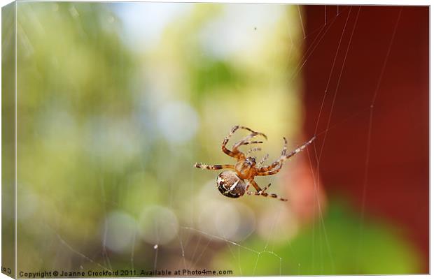 Spider spinning Canvas Print by Joanne Crockford