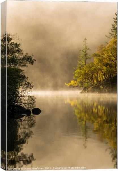 Loch Ard in Autumn Misty Sunrise Canvas Print by Maria Gaellman