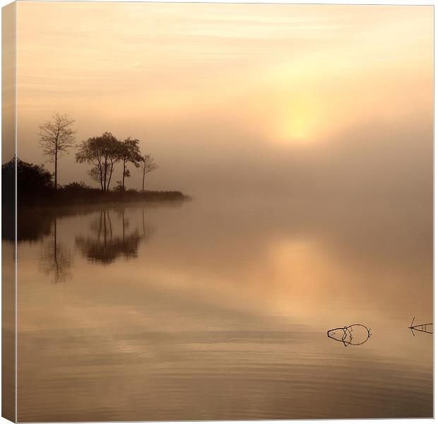 Loch Ard Misty Sunrise Canvas Print by Maria Gaellman