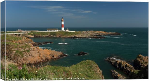 Buchan Ness Lighthouse and the North Sea Canvas Print by Maria Gaellman
