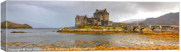 Eilean Donan Castle, Scotland Canvas Print by Tom Holbourn