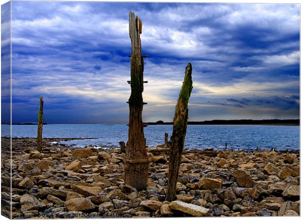 Waterfront Wreckage Canvas Print by Daves Photography